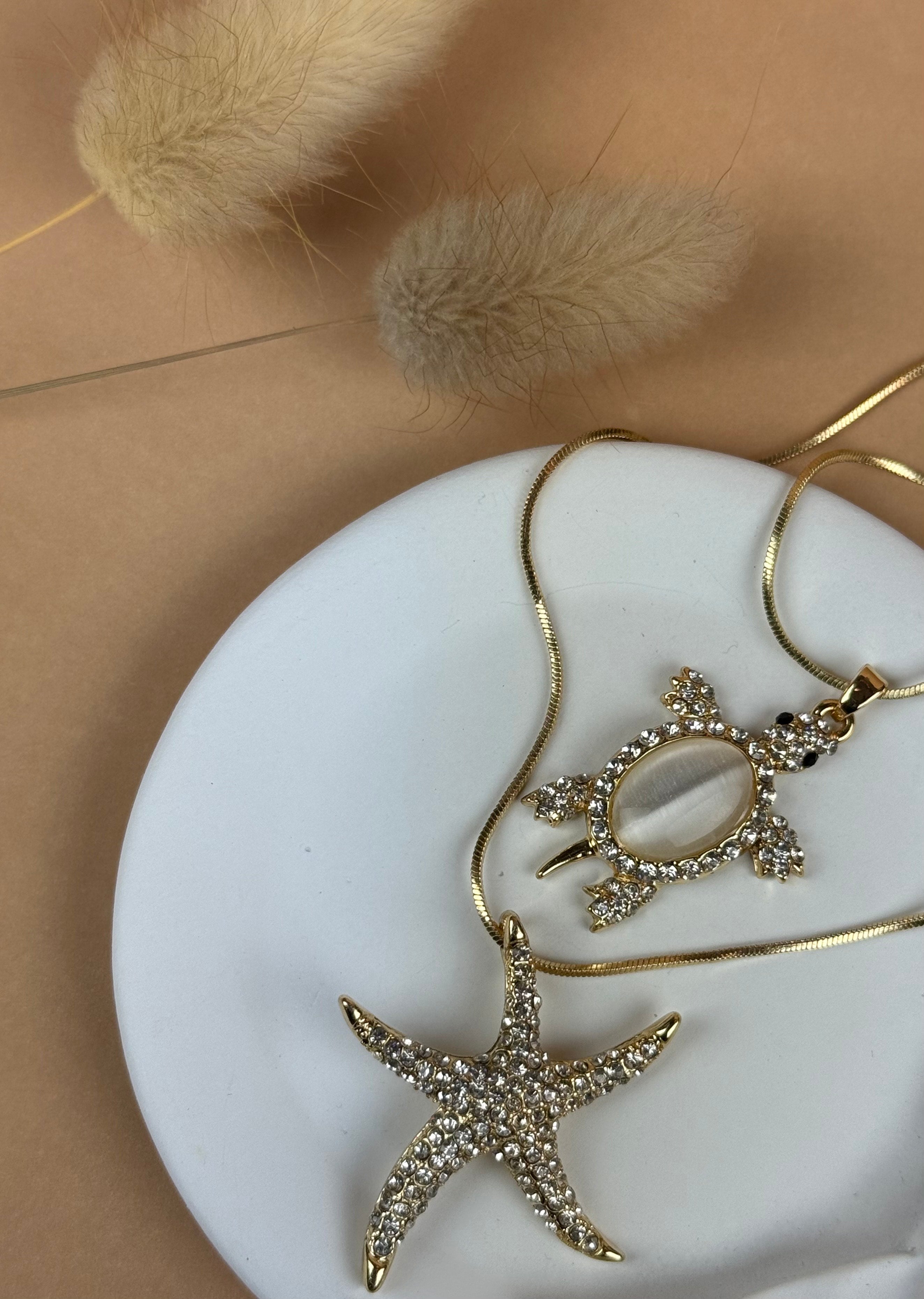 Sea turtle & star fish